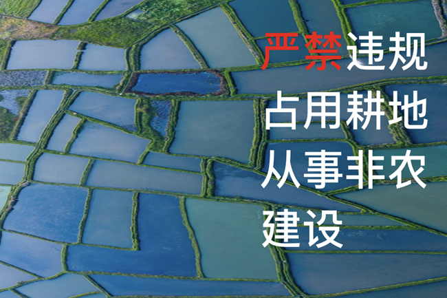 上级政策图解六个严禁坚决制止各类耕地非农化行为