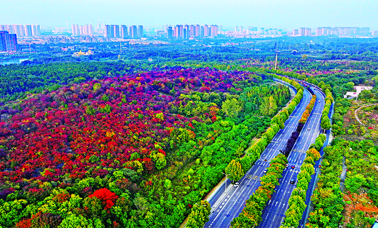 秋染淮南 斑斓胜景