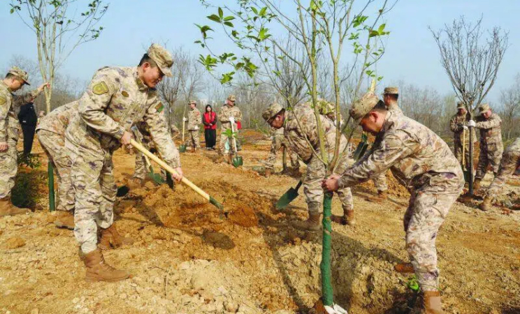 春日添新绿 植树正当时