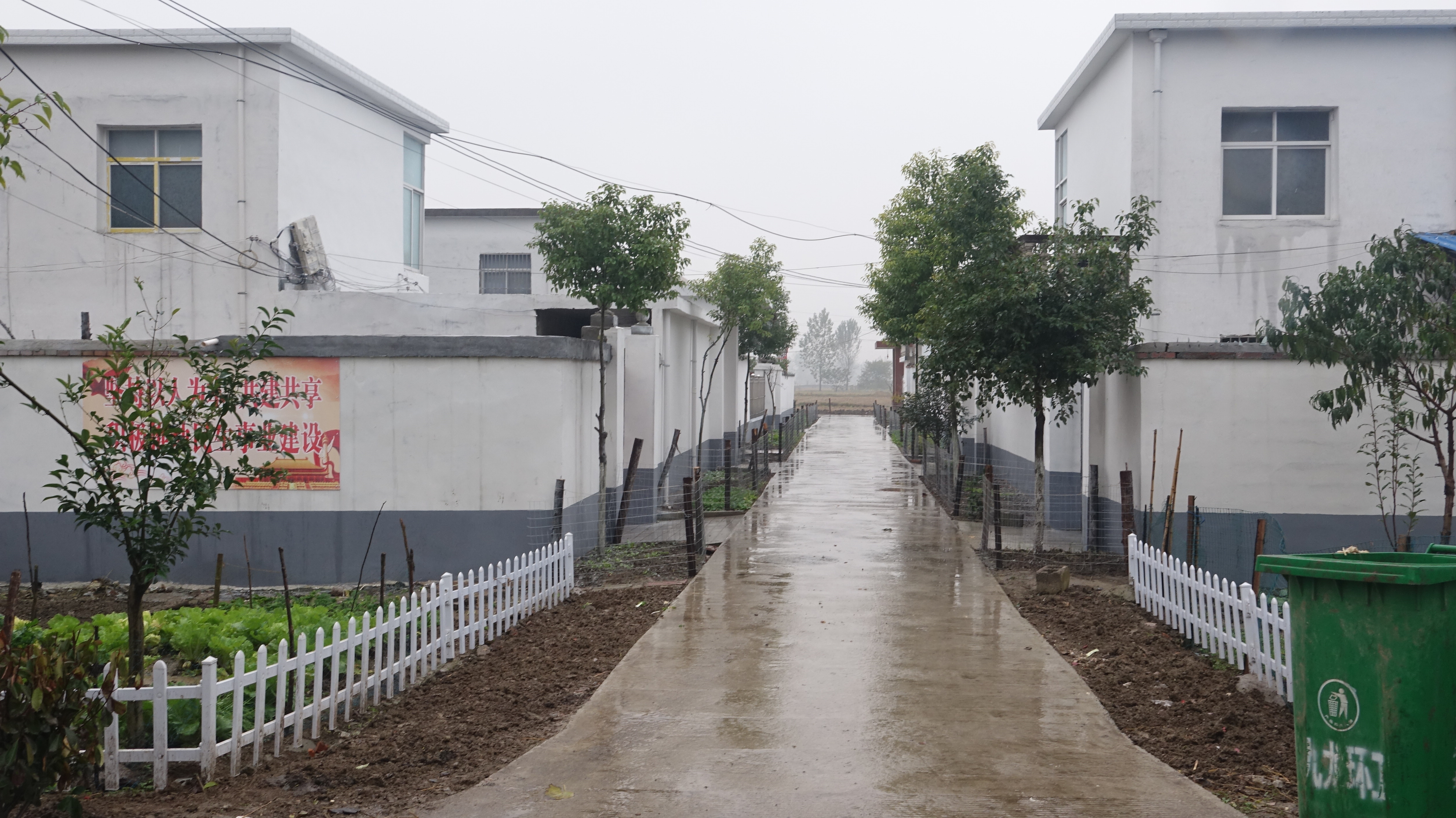 首页 公开 寿县寿春镇政府 乡村建设 美丽乡村