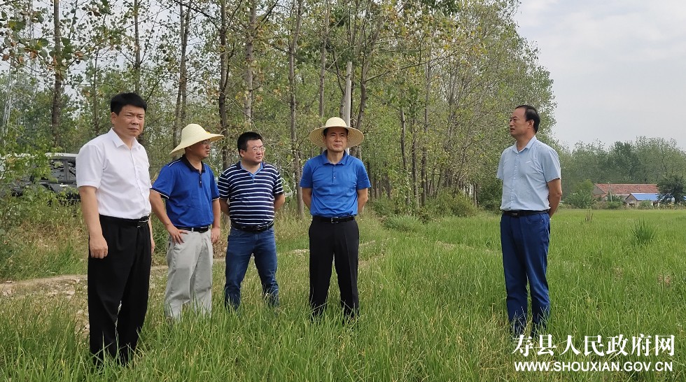 首页 公开 寿县茶庵镇政府 政府领导 领导活动 程县长指出,我县